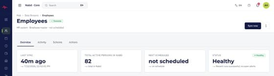 nábd Pay sync health view showing the status and last run time of each Employee Central replication.